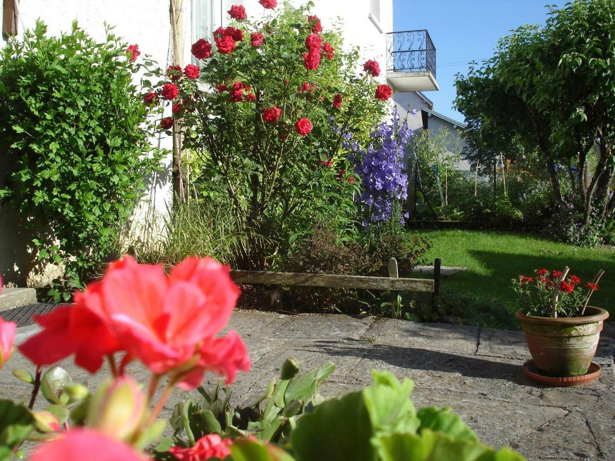 Gite Loca Provenchere Exterior photo